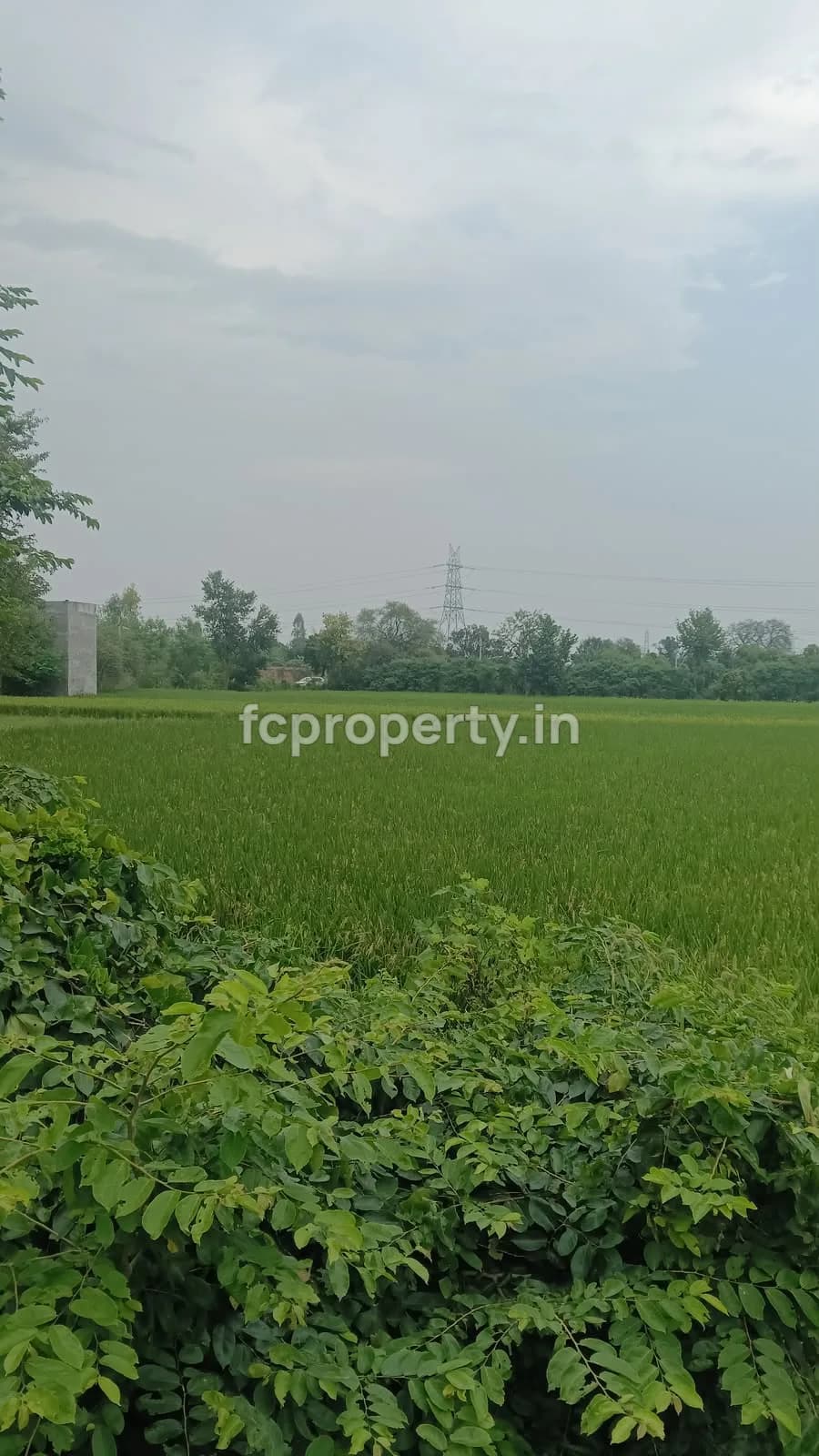 10,000 Sq.ft Land for Sale on Mati Road, Near Behta Ring Road, Lucknow, Saihara Breeze, Mati Road